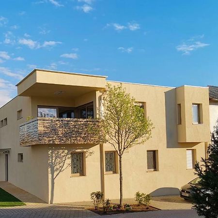 Pannonia Appartements نيوسيدل آم سي المظهر الخارجي الصورة